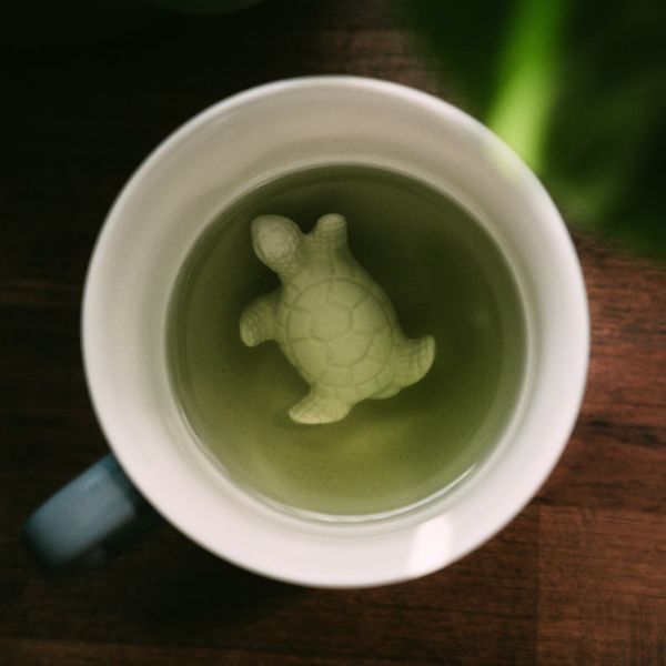 Turtle Surprise Mug, a delightful reveal with every sip, a fun twist on turtle gifts.