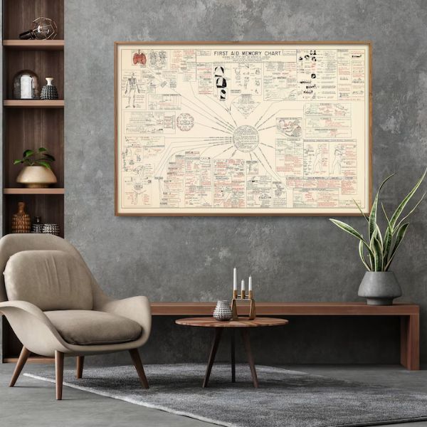 Add a touch of vintage charm to your office with the Vintage First Aid Memory Chart Doctor's Office Wall Art.