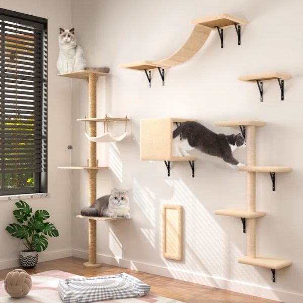 Maximize space and delight your cat with this wall-mounted cat furniture