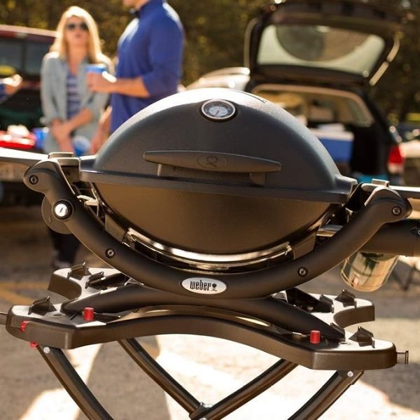 Weber's Q1200 grill sears meats perfectly with ample cooking surface.