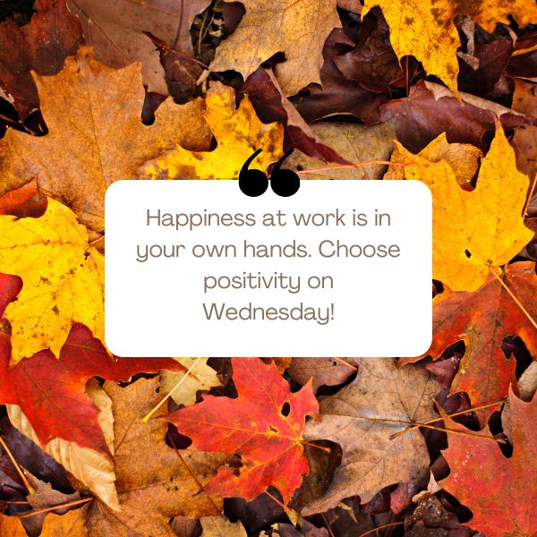 Uplifting Wednesday quotes designed to boost motivation and drive in the workplace