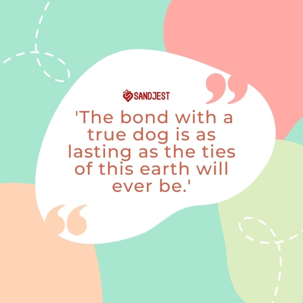 Quotation bubble highlighting the timeless bond between a human and a true dog