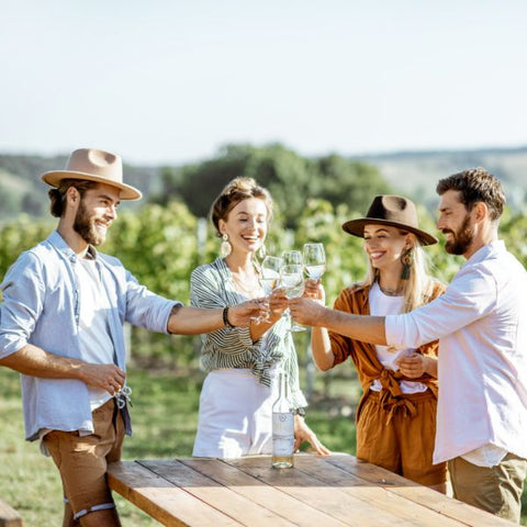 Group of friends toasting during a vineyard wine tasting event.