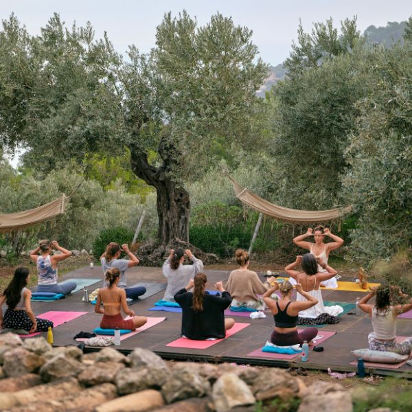 A group participating in a tranquil yoga retreat outdoors.
