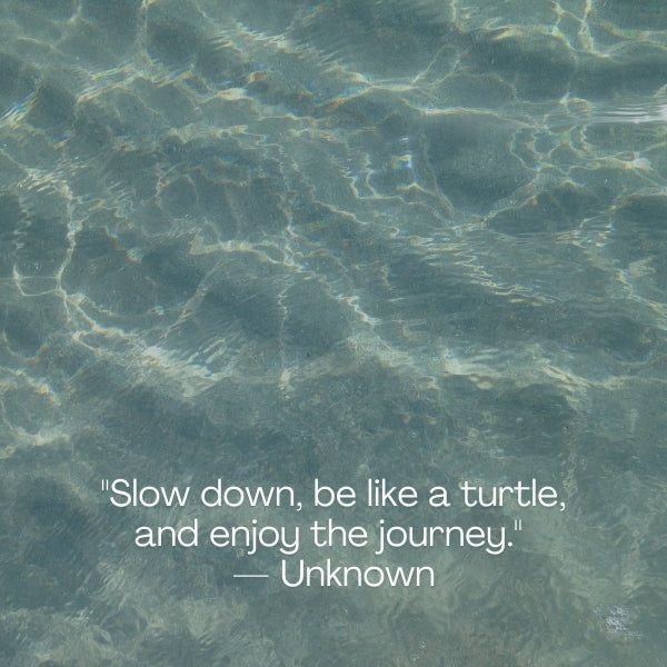 Be like a turtle quotes encourage perseverance and patience.