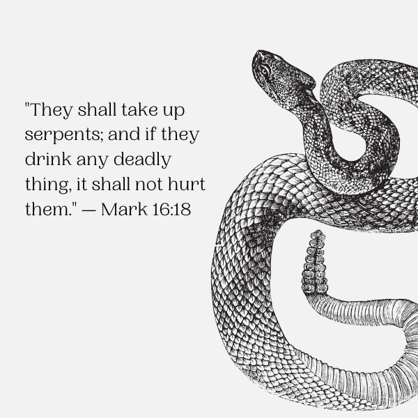 Religious quotes and verses from the Bible that reference snakes, often representing temptation or evil.