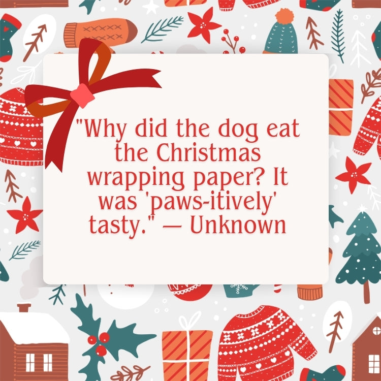 Delight in Christmas dog jokes that feature festive fun and holiday humor with furry friends.