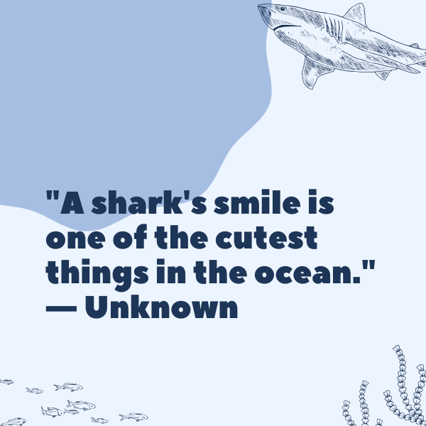 Endearing and charming quotes about sharks that showcase their softer side