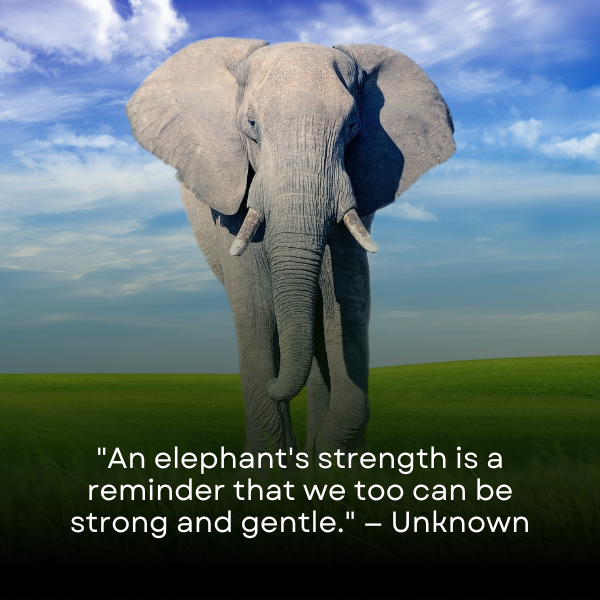 Bold quotes personifying the mighty physical and mental fortitude of elephants.