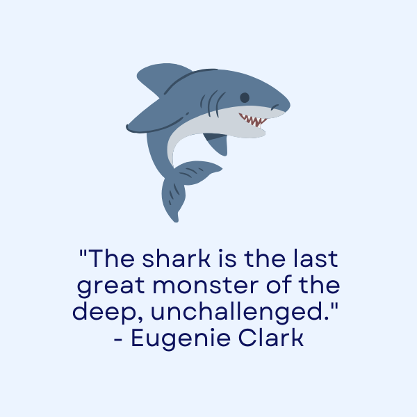 Well-known and widely recognized quotes about sharks from various sources