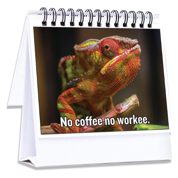 Flip through laughs with this Funny Office Flip Book, perfect for quick mood boosters.