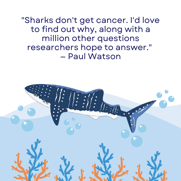 Humorous and witty quotes about sharks that bring a smile.