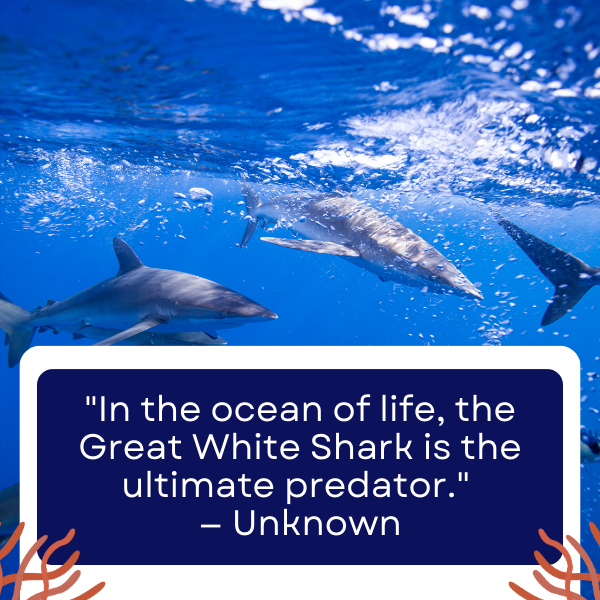 Quotes specifically focused on the great white shark, celebrating its majesty, power, and the awe it inspires in ocean enthusiasts