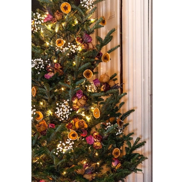 Hang dried citrus with colored lights for a natural and festive decorating christmas lights ideas.