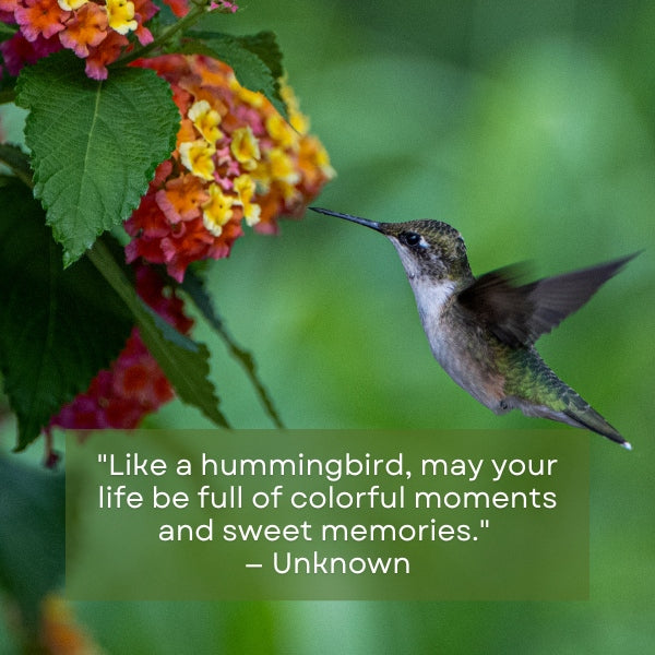 Uplifting quotes connecting the spirit and liveliness of the hummingbird to milestone birthday celebrations.