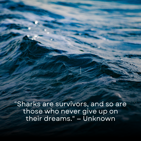 Powerful and uplifting quotes that draw inspiration from the strength, perseverance, and resilience of sharks