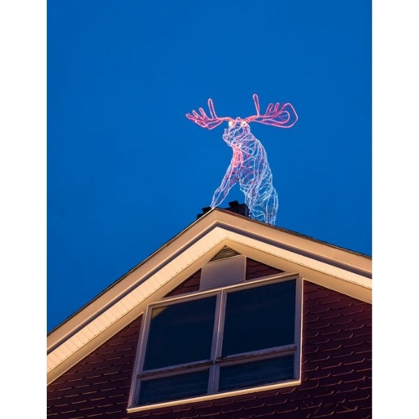 Neon moose decoration on the roof adds a modern touch to your christmas light setups.