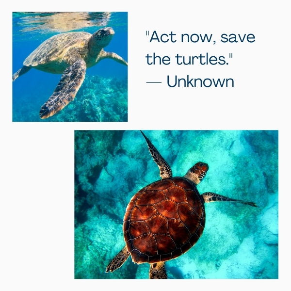 Save the quotes on turtles advocate for turtle conservation and awareness.