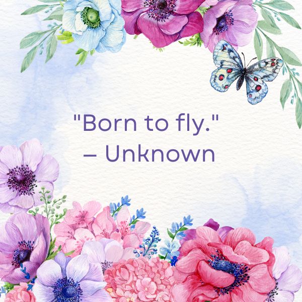 Discover the essence of nature's elegance with our short butterfly quotes, perfect for quick inspiration.