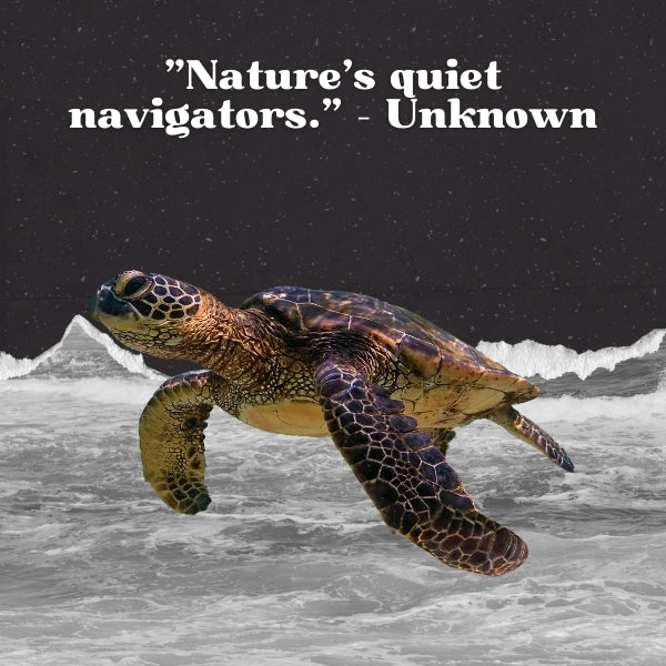 Short sea turtle quotes capture the essence of ocean life and perseverance.
