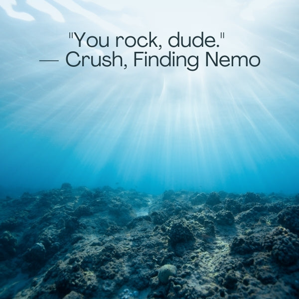 Finding Nemo's quotes on turtles bring fun and life lessons from the ocean.