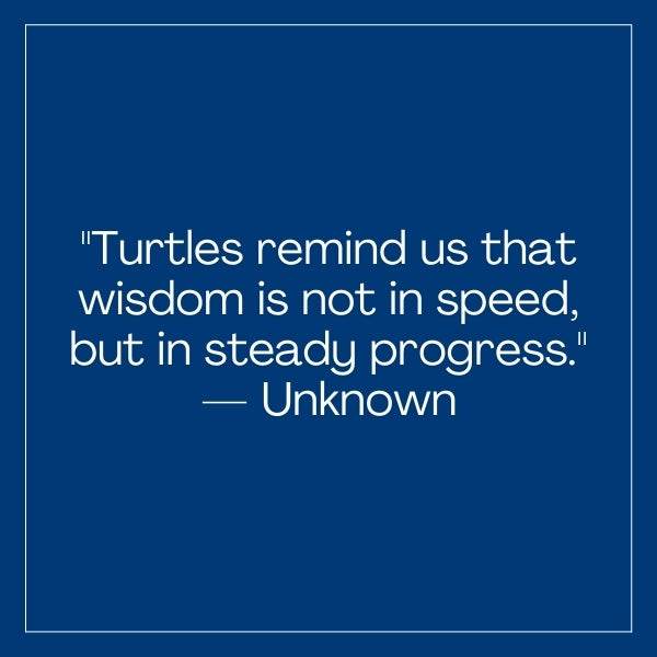 Turtle wisdom quotes offer deep insights and life lessons from turtles.