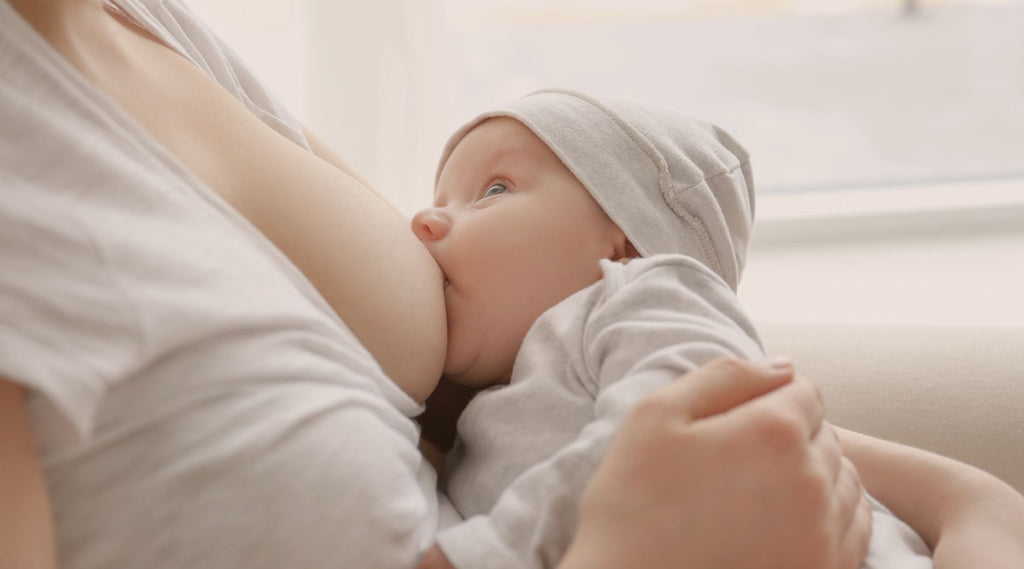 Art of Breastfeeding Nurturing Your Baby and Bonding