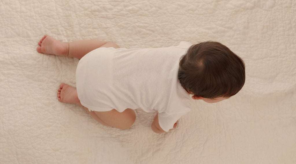Navigating Growth Milestones From Crawling to First Words