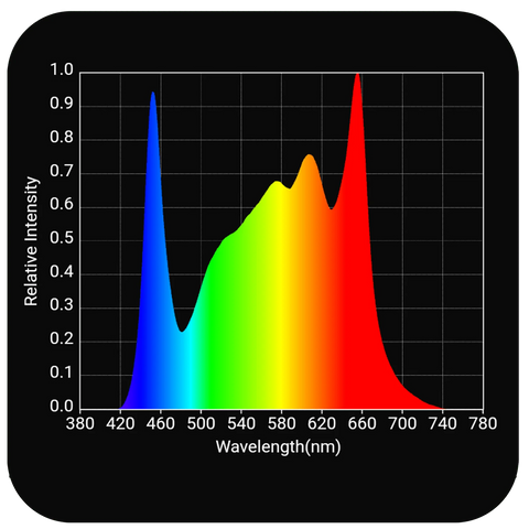 HLG 200 Rspec Spectrum