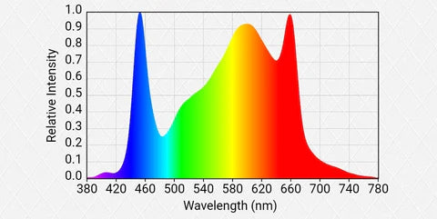 Slim 600H NextGen Spectrum