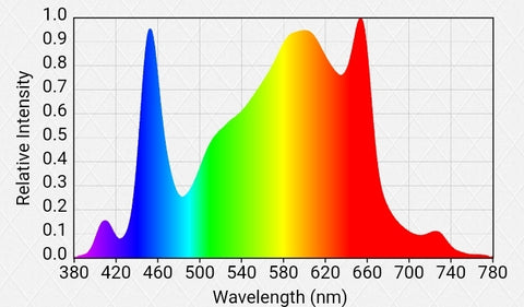 Optic Killa 1000 Watt Spectrum with high red and high blue