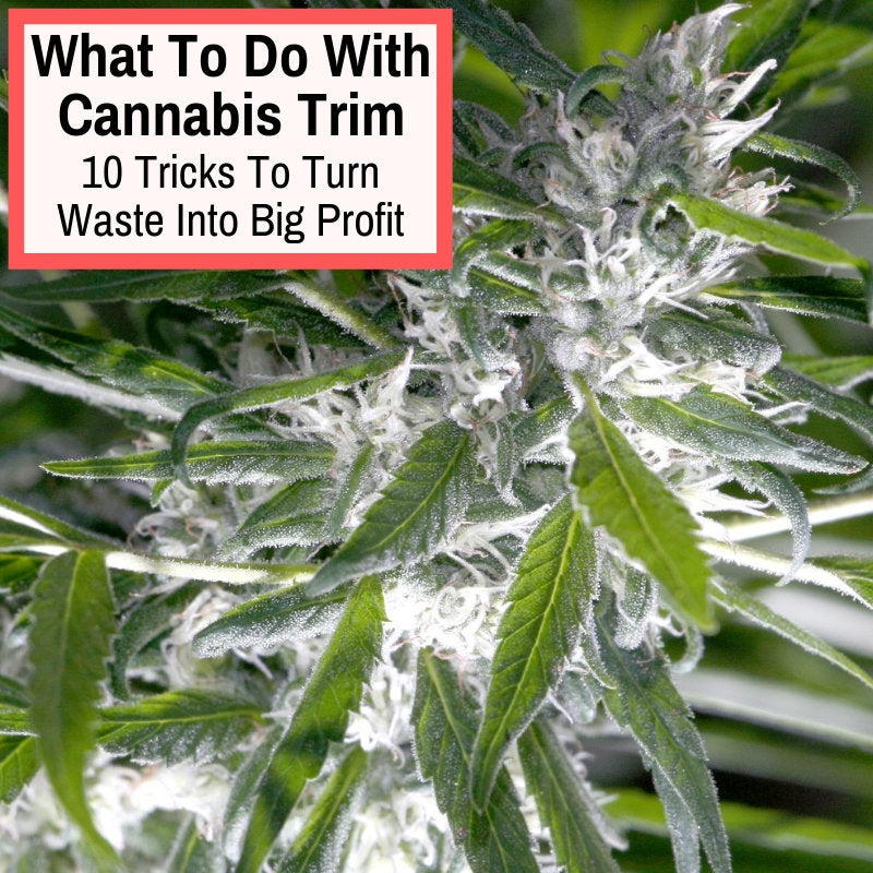 How To Prepare Your Hemp