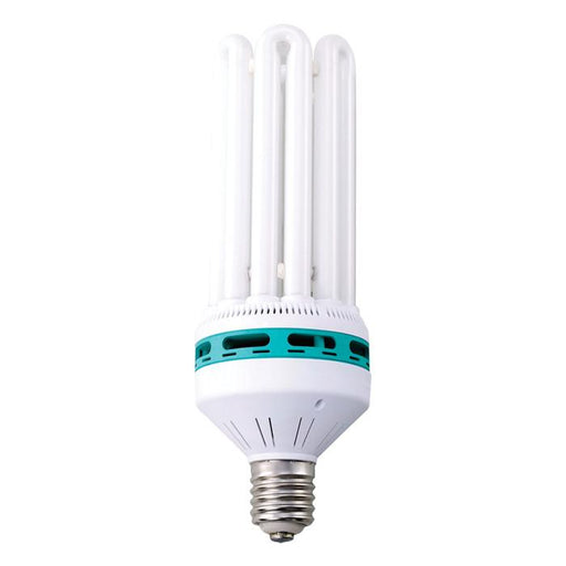 Buy 200 Watt CFL Bulb (6400K Cool Online — Grow Light