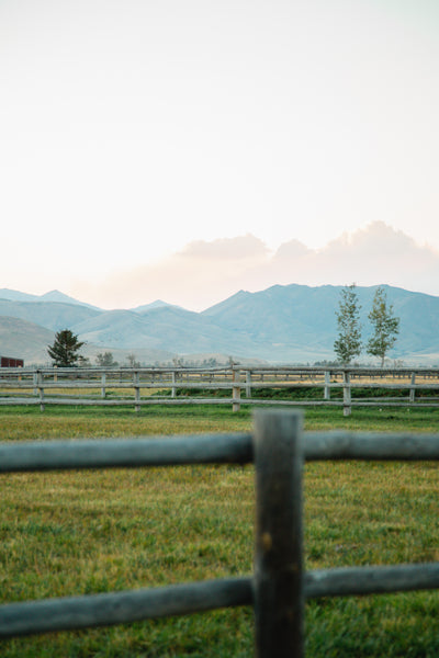 green field with mountains in the distance