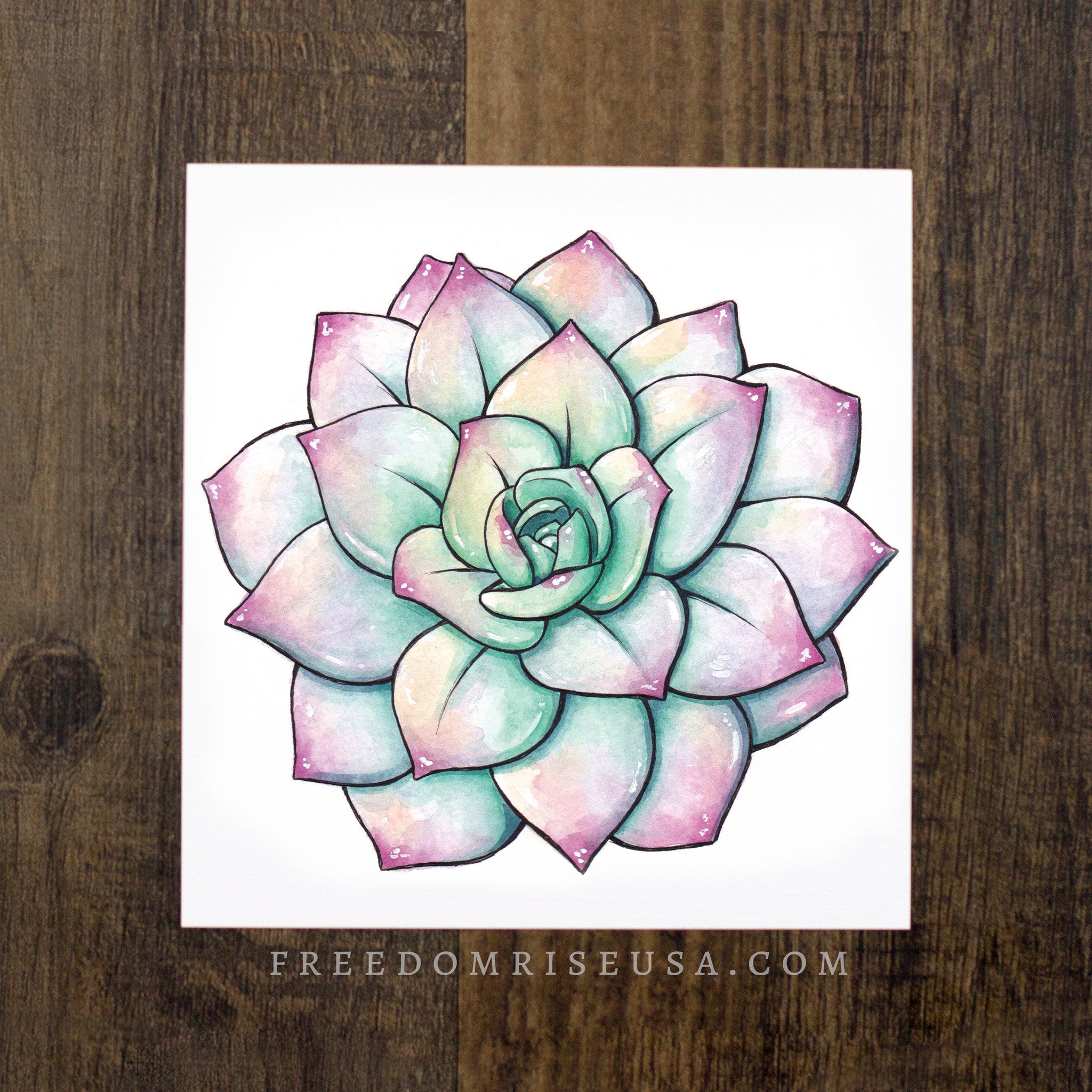 Pastel Succulent Art Print