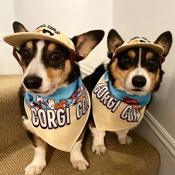 corgi gear