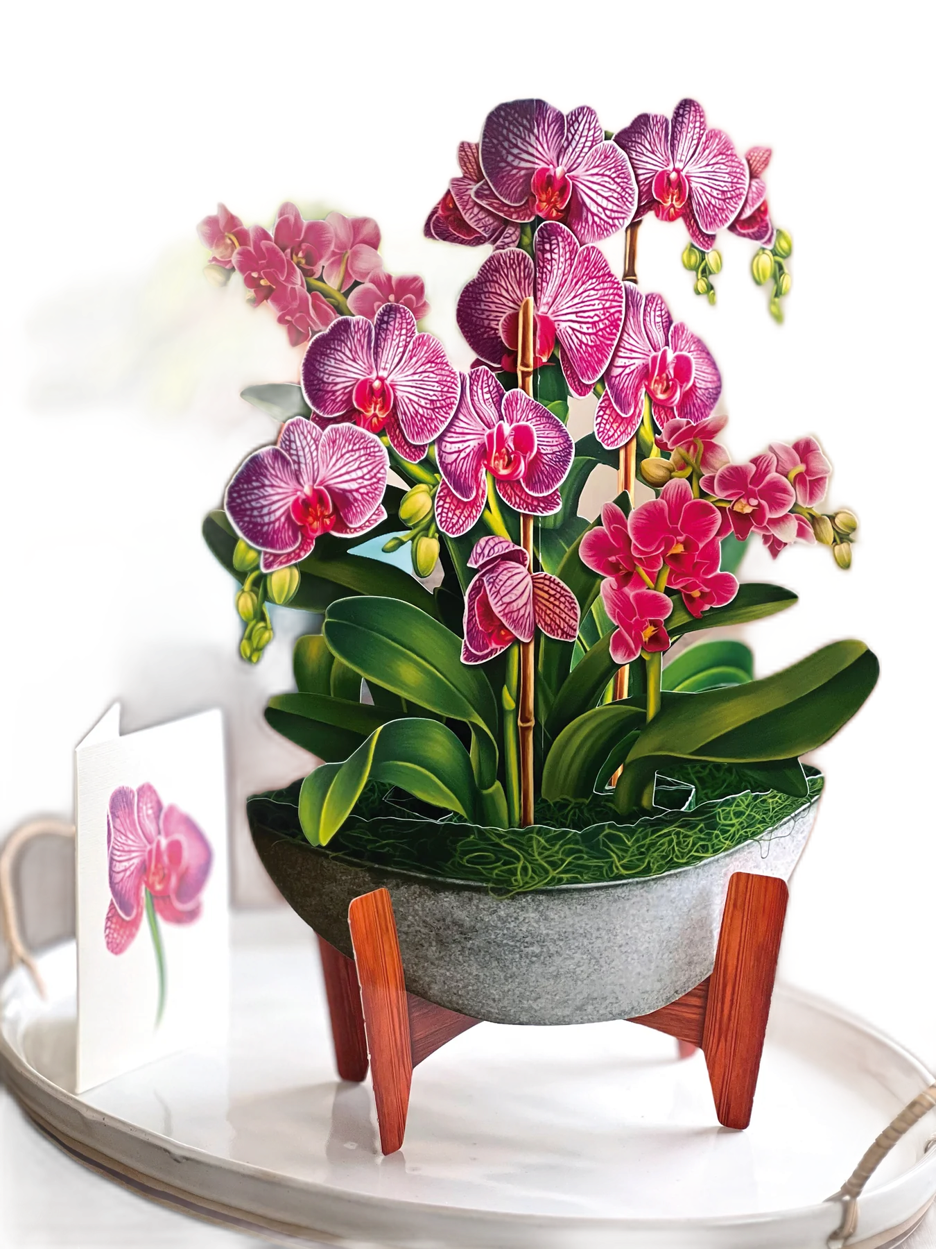 https://cdn.shopify.com/s/files/1/0856/4174/products/Lark-FreshCut-Paper-Orchid-Oasis_1600x.png?v=1689268487