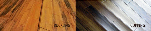 Cupping Buckling Wood Floors