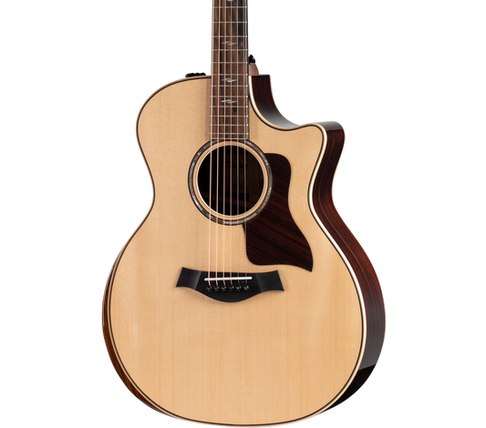 Taylor 314ce Guitar with V-Class Bracing | Tone Shop Guitars