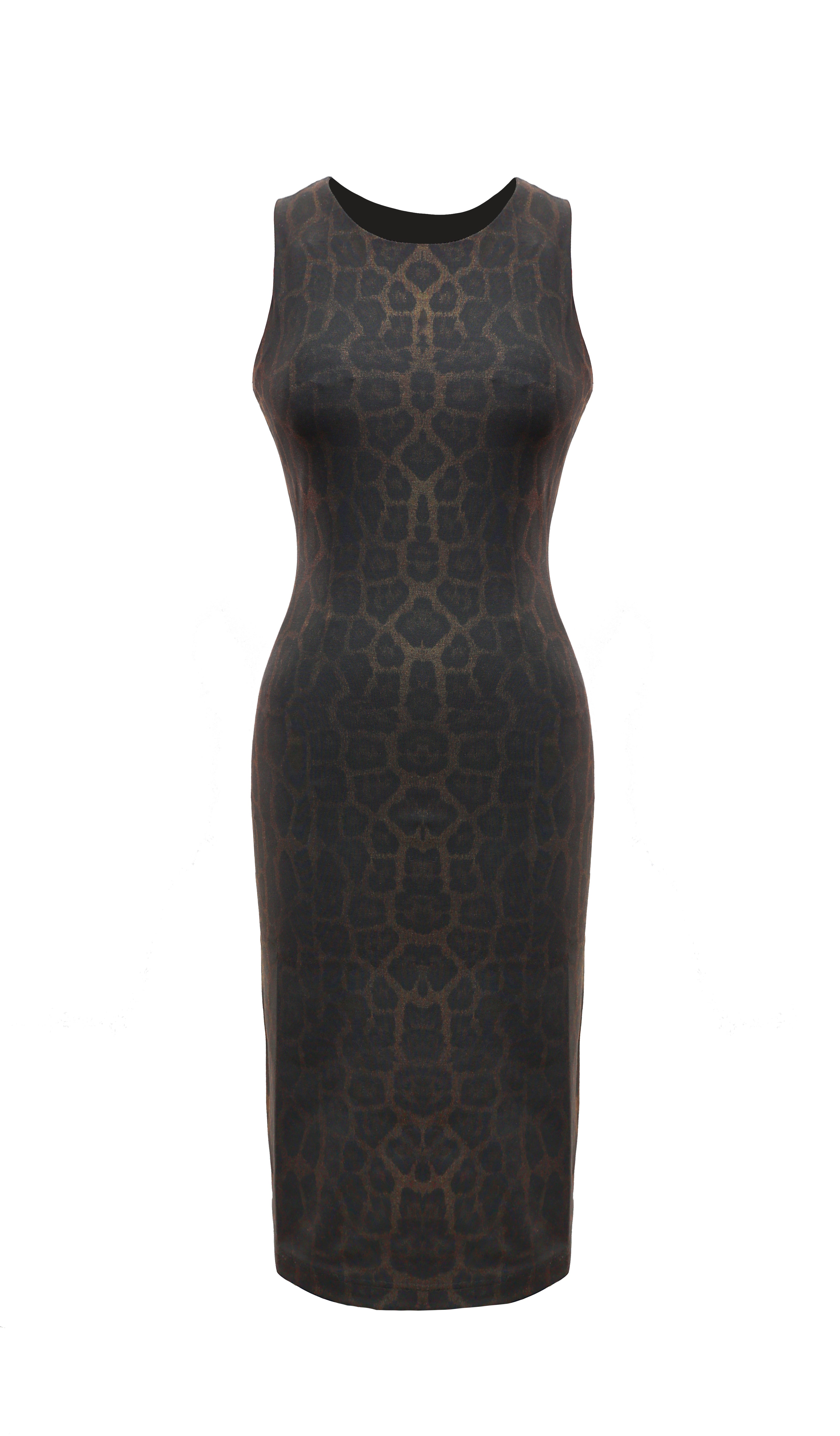 Ludmila Slim Fit Sleeveless Dress - Cheetah Print
