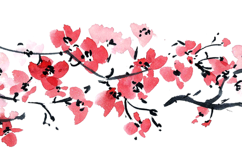 cherry blossom ink painting