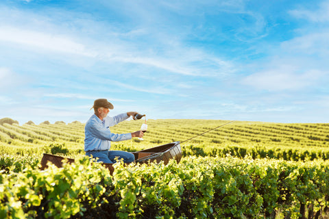 Eric Semmler pouring wine in the vineyard while sitting in a canoe in the vines