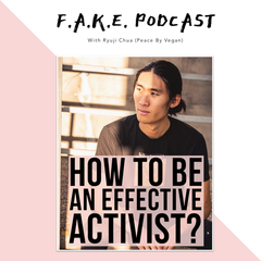 ryuji chua podcast how to be an effective activist