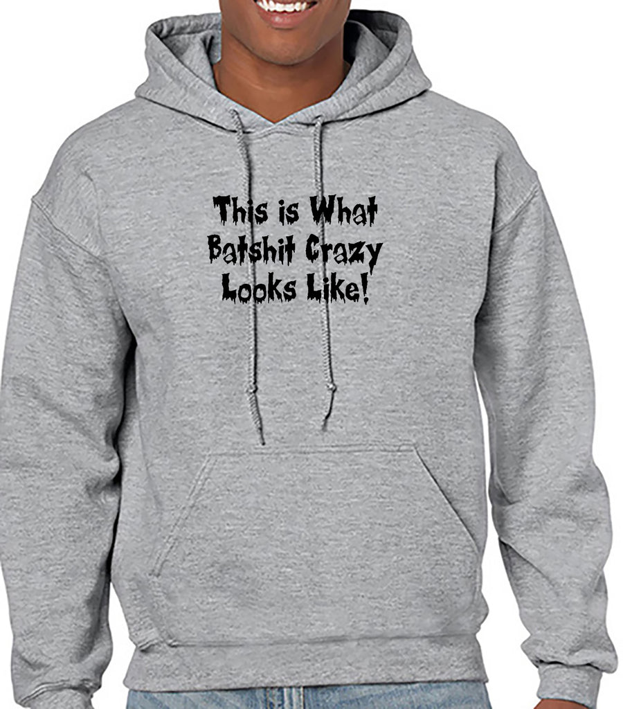 Batshit Crazy Hoodie - Funny Hoodie – DesignerTeez