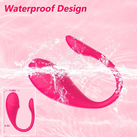 APP Remote Control Female Wearable Vibrator Egg