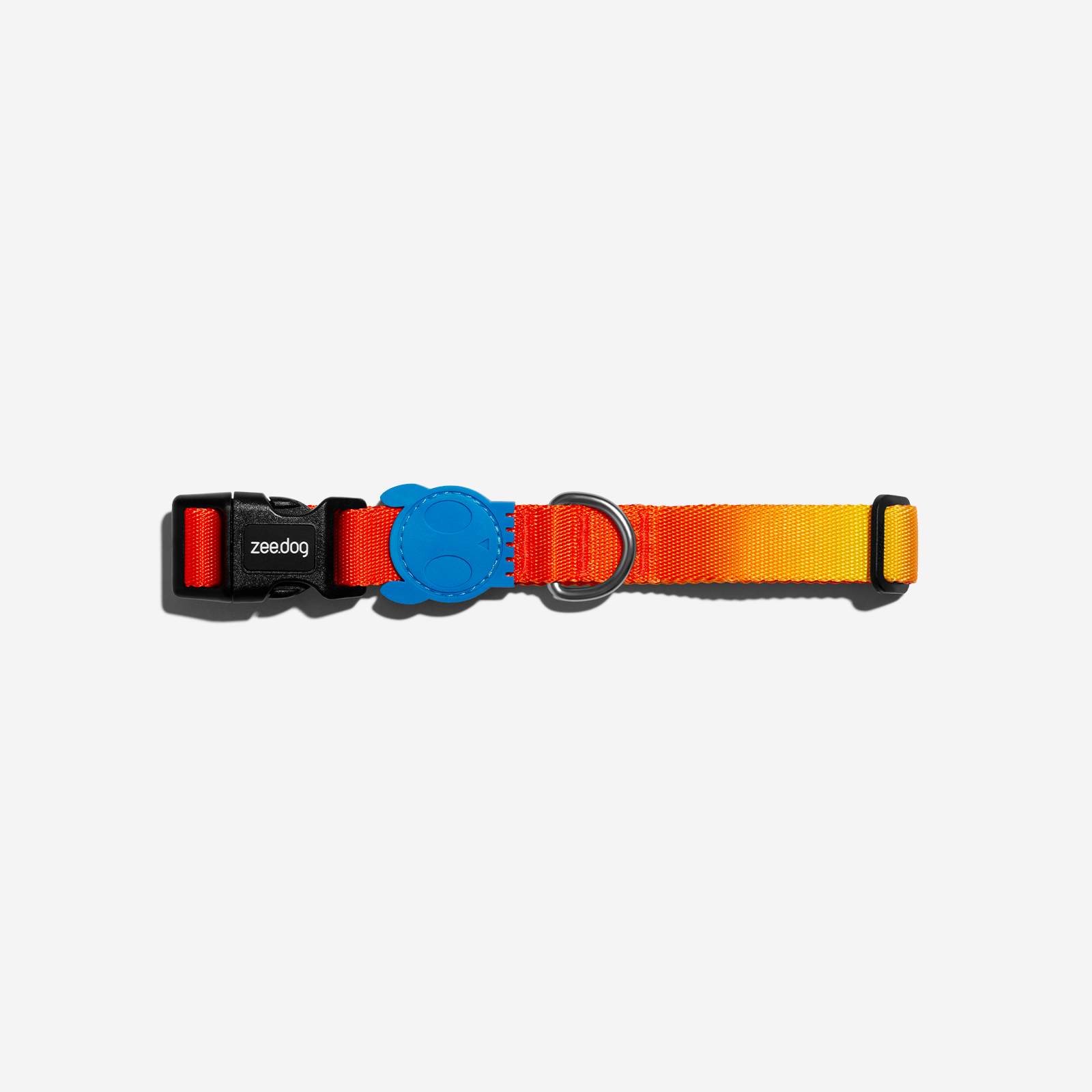 Solaris | Dog Collar – Zee.Dog