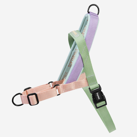 Peach | SofterWalk Harness - Zee.Dog product image