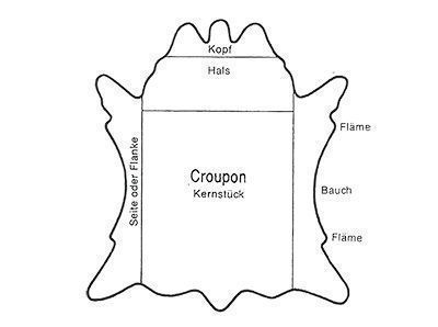 Croupon und Einteilung der Hautabschnitte