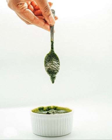 Low FODMAP kale and spinach pesto recipe Hearthy Foods 