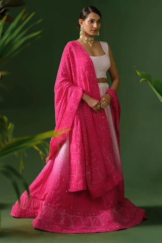The House of Indu Georgette Chikankari with Cut Dana Pink Ombre Lehenga with Dupatta